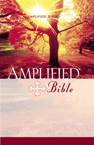 amplified_bible.jpg