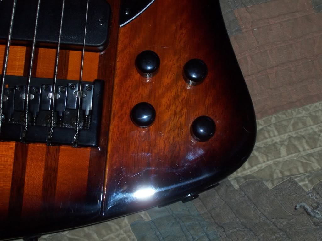 ampnbirdmods004.jpg