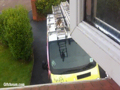 amXepyo_460sa_v1.gif