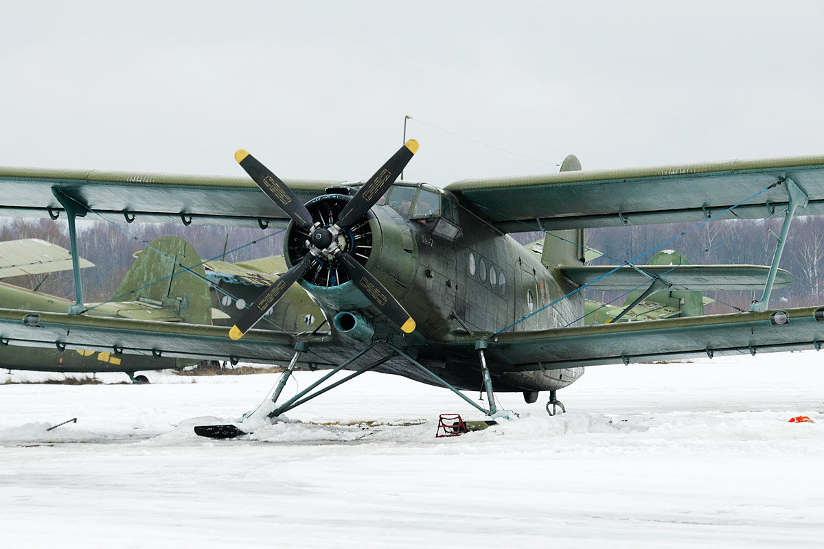 An-2_on_skis.jpg