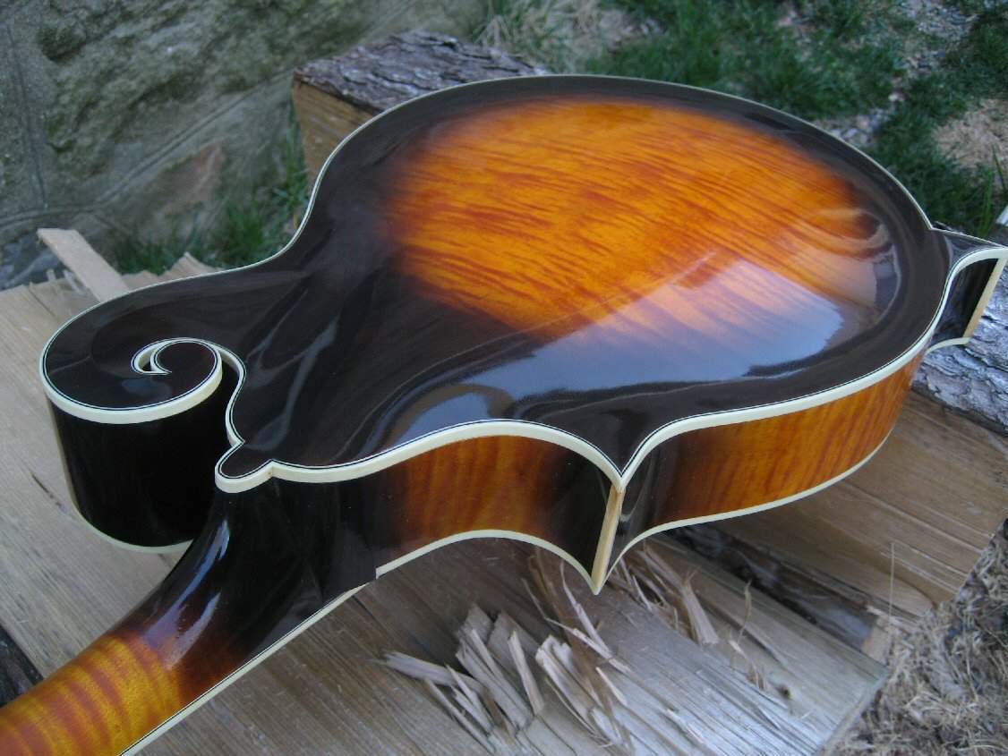 angled back 1.jpg