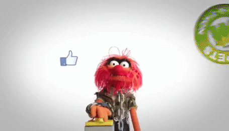animalgif.gif