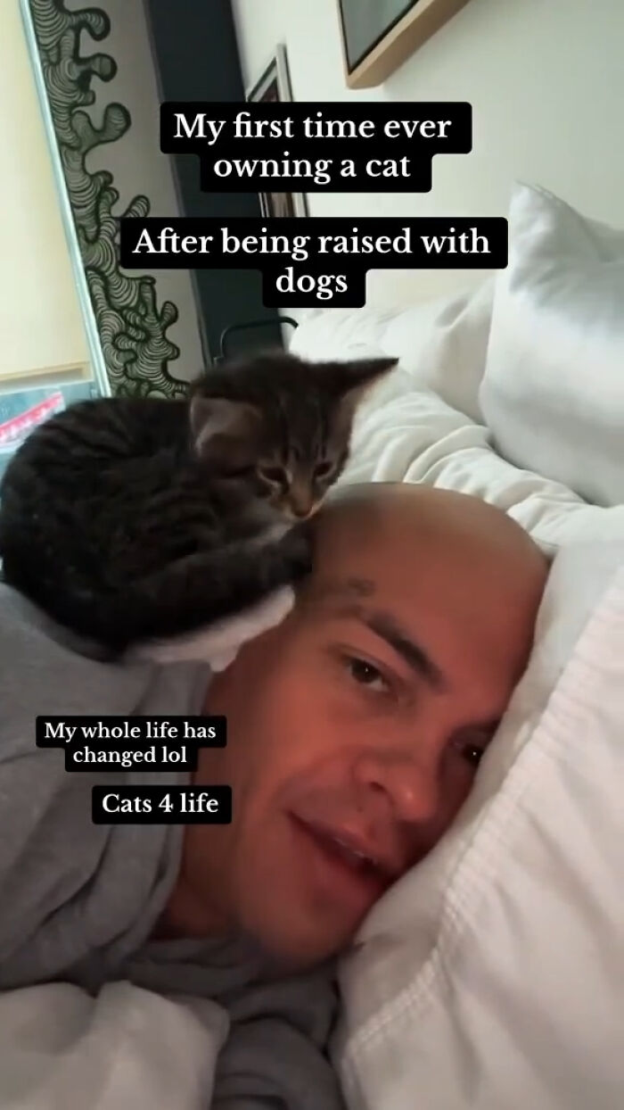 animals-doing-things-memes-pics-6576ea979346e__700.jpg