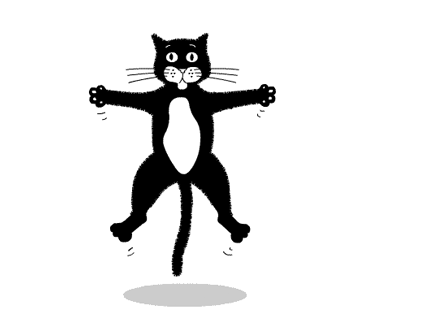 animated_cat_delay.gif