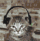 animated_cat_headphones.gif