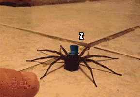 anYmGNB_460sa_v1.gif