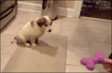 aOqA0mv_460sa.gif