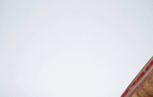 approved-stamp (anim).gif