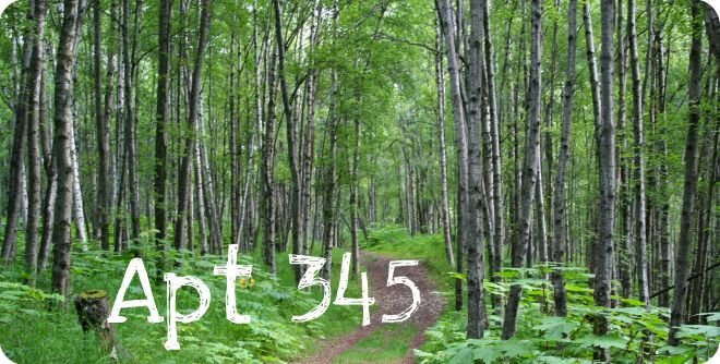 Apt+345+Trees+2.jpg