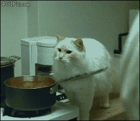 aQqVWoq_460sa.gif