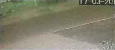 aQqYO0K_460sa_v1.gif