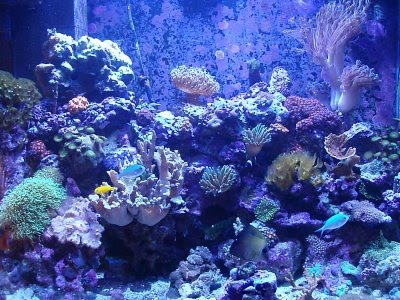 aqua11.jpg