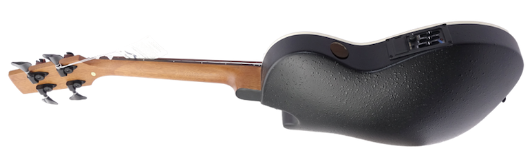 Aquila back.png