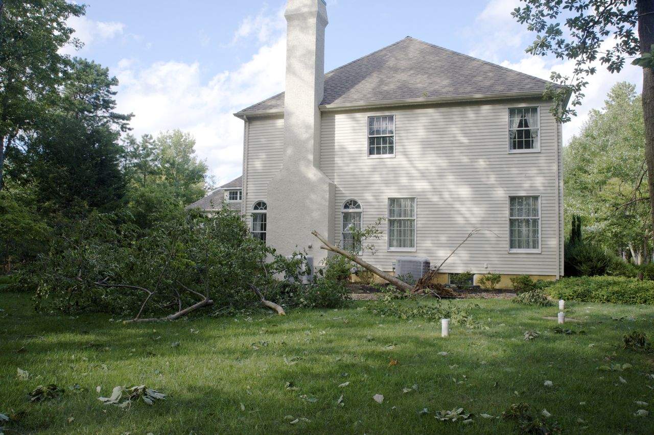 AR1_8345.jpg