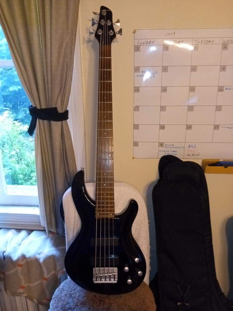 Aria 5 string.jpg
