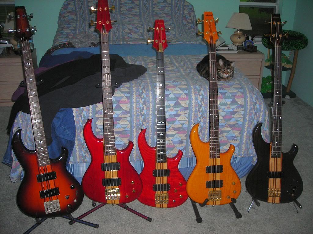 ARIAPROS002.jpg