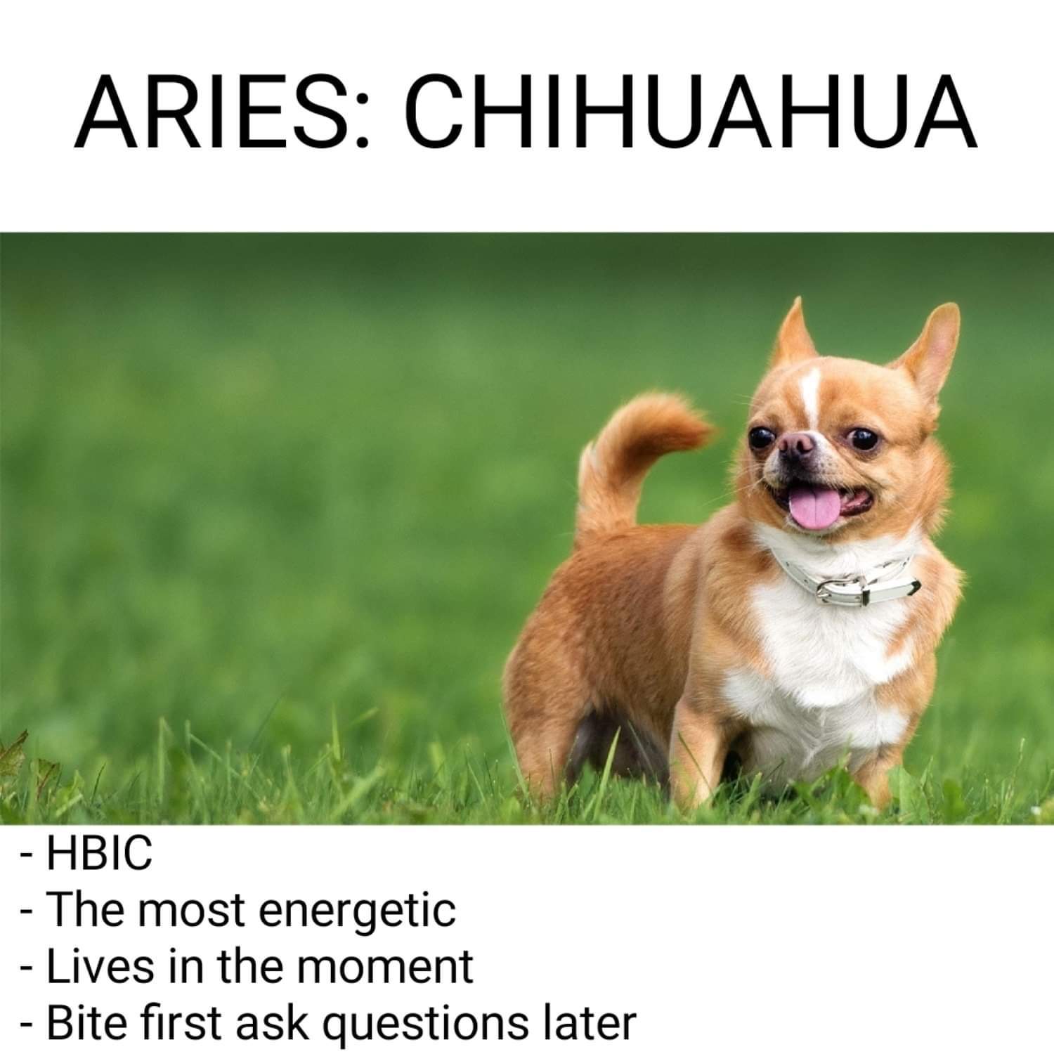 Aries.jpg
