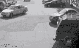 arpBArd_460sa.gif