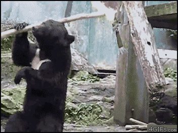 aRQn4E7_460sa_v1.gif