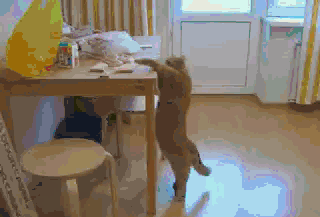 aRQqYD5_460sa_v1.gif