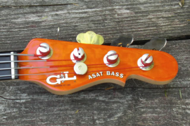 ASATSHFLHeadstock02.jpg