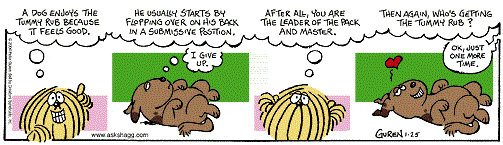 Ask Shagg - Tummy Rub.gif