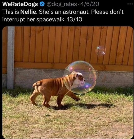 astro dog.jpg