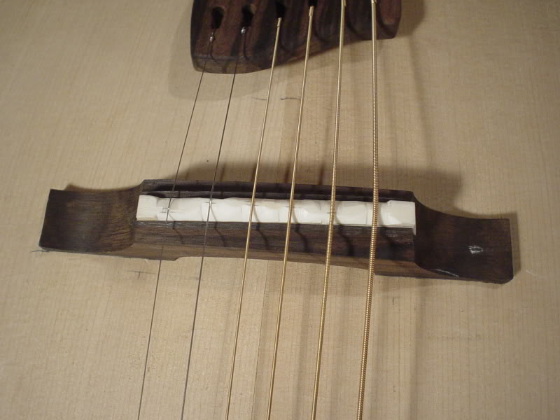 at331.jpg