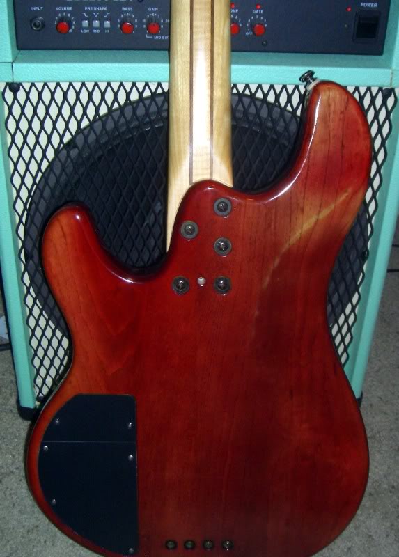 ATKBackBody.jpg
