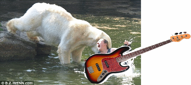 attachment.gif
