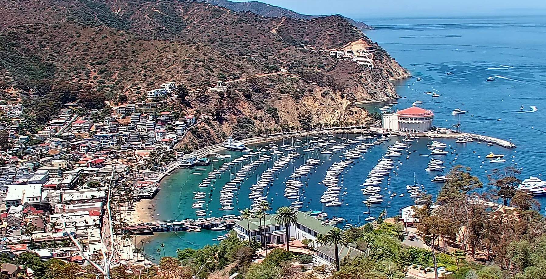 Avalon Today.jpg