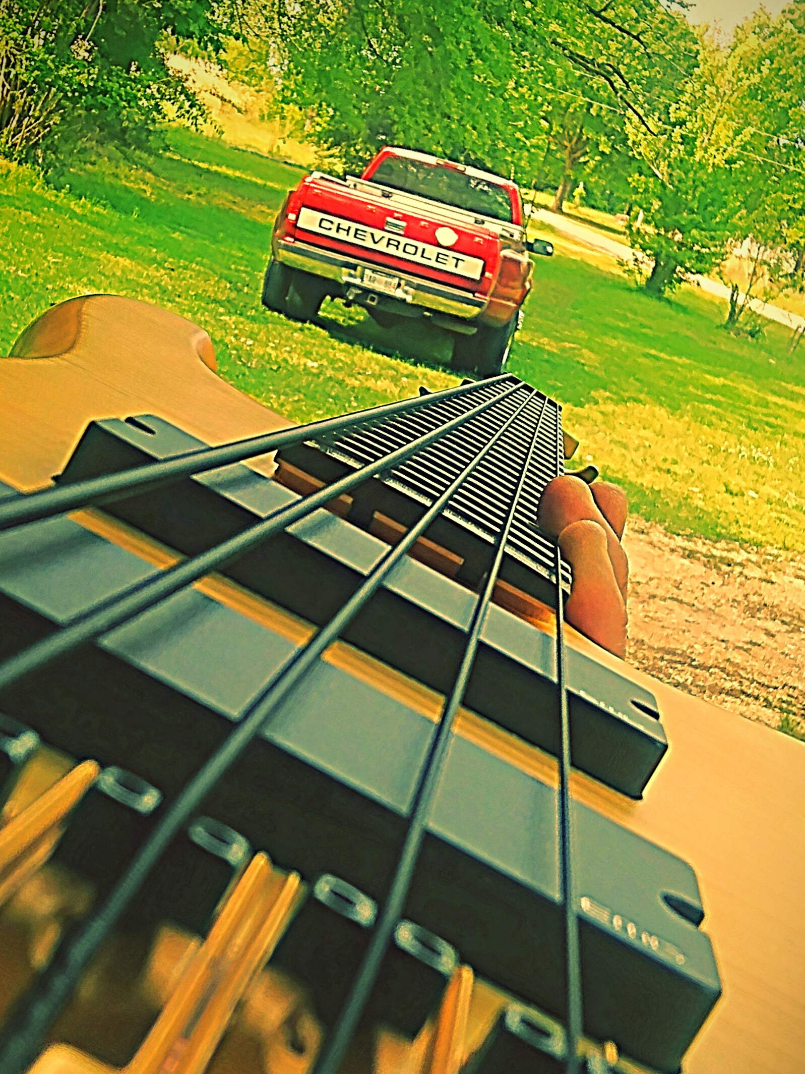 aviary-image-1555536372117.jpeg