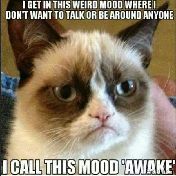 awake.jpg