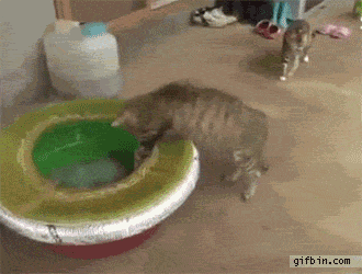 awrOAwW_460sa.gif