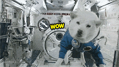 aXbBNv2_460sa_v1.gif
