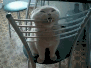 ay5gw6y_460sa_v1.gif