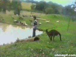 aYb8Y3x_460sa_v1.gif
