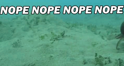 Az8udqN.gif