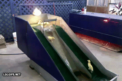 azbGYMp_460sa.gif