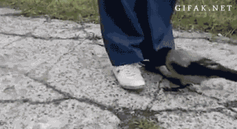 azbnQBz_460sa_v1.gif