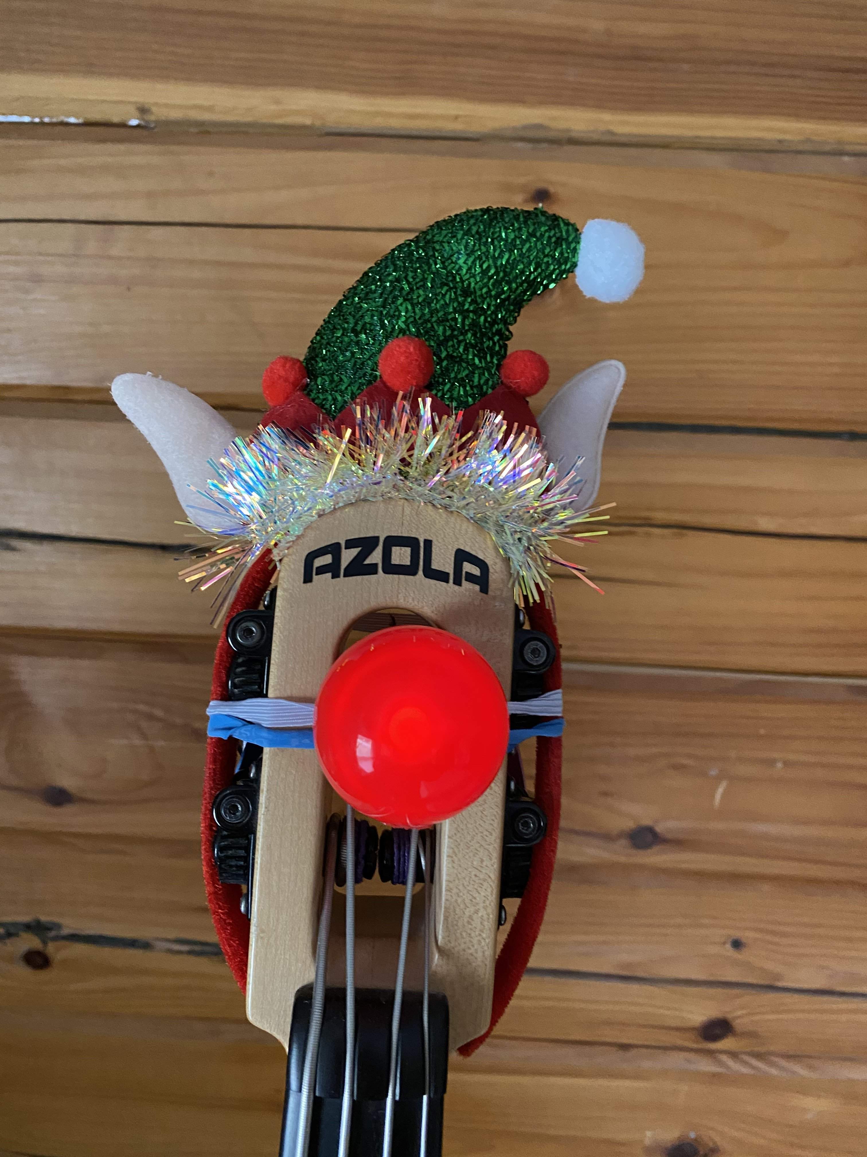 Azola Xmas.jpeg