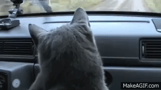 AzQWNN.gif