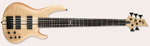 B-1005NS.jpg