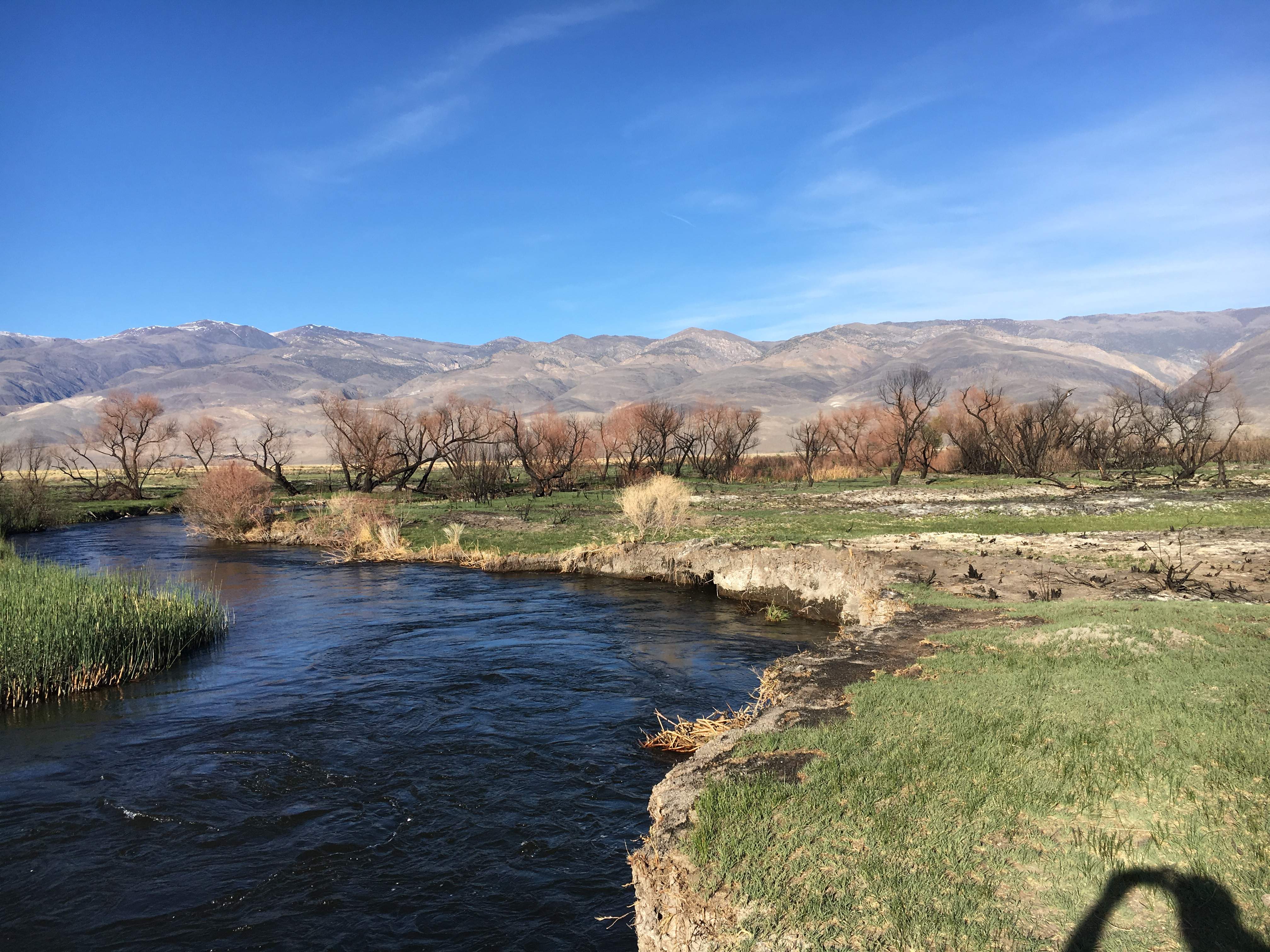 B0045173-F773-4B82-9EDE-D7A043D8F86F.jpeg