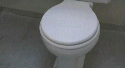 B0vr6h0.gif