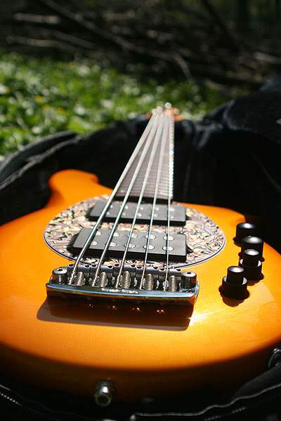 B15.JPG
