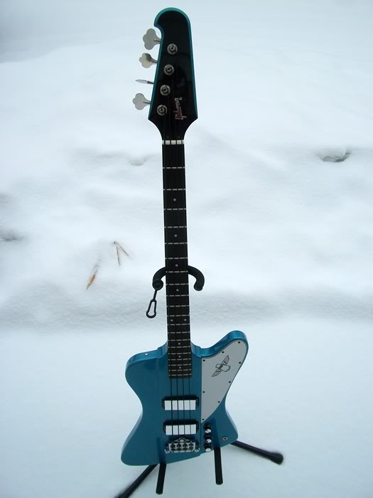 b15bluebirdd003.jpg