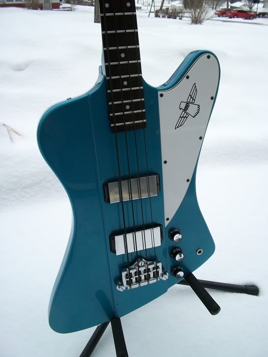 b15bluebirdd004.jpg