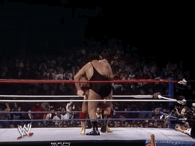 B184C875-38D2-4E1A-B009-6753E1AE03B1.gif