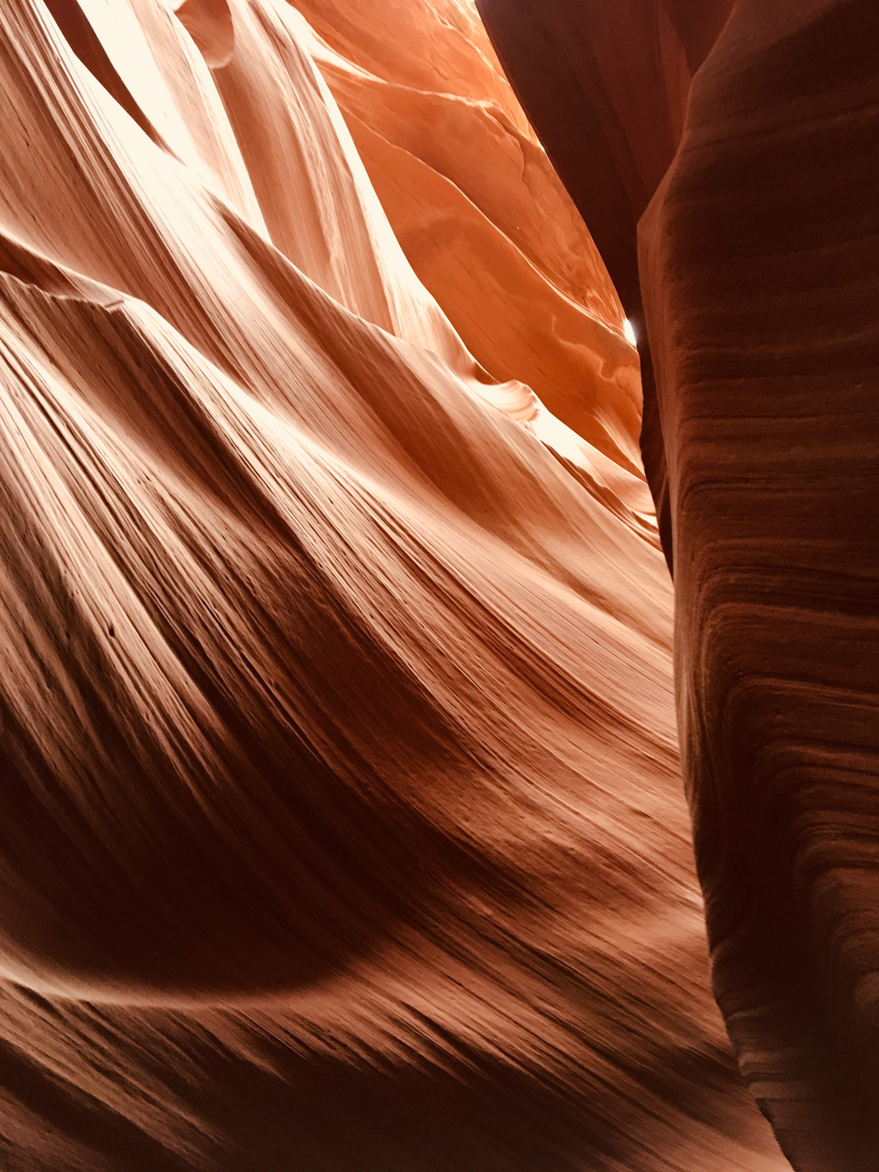 B2DE682B-D553-4A21-A3F2-9D39D2B9F07F.jpeg